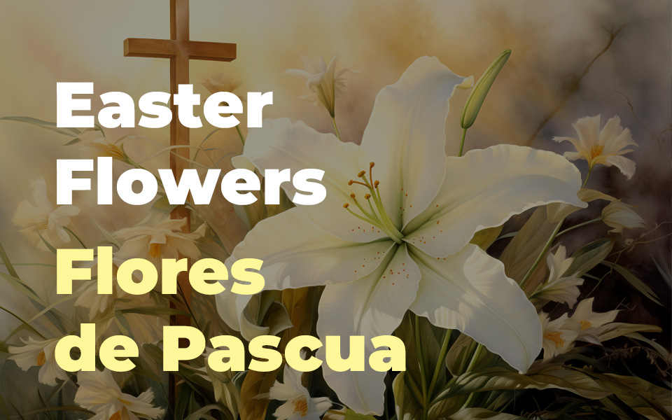 Easter Flowers • Flores de Pascua